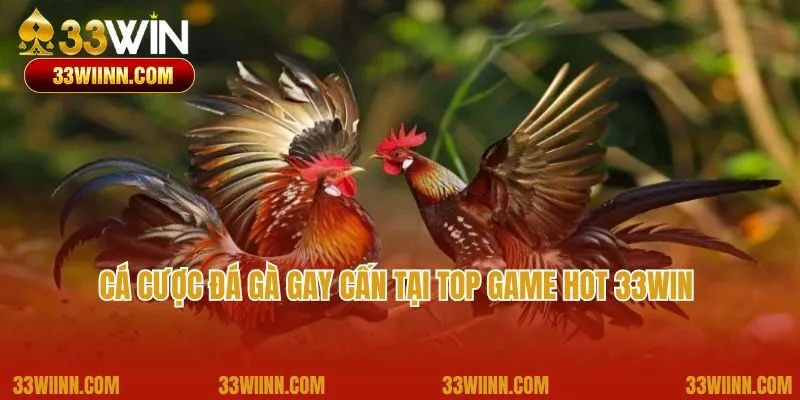 Cá cược đá gà gay cấn tại top game hot 33Win của nhà cái